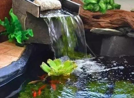 一般根據水的形態分類，園林水景有這4個類型！