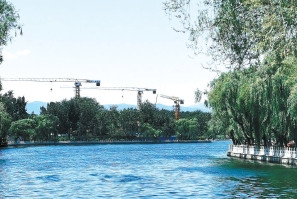 湖北凱蒂園林分享十種超耐寒的開(kāi)花植物，不怕凍傷！ 